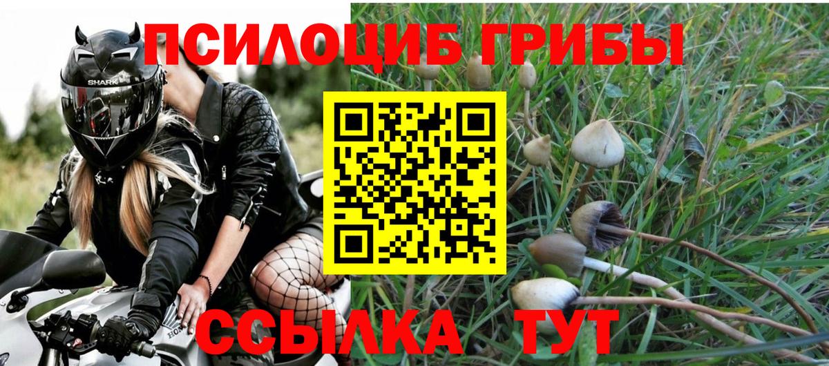 Урюпинск  Псилоцибиновые грибы прущие грибы  Галлюциногенные грибы мицелий  Вход с VPN 